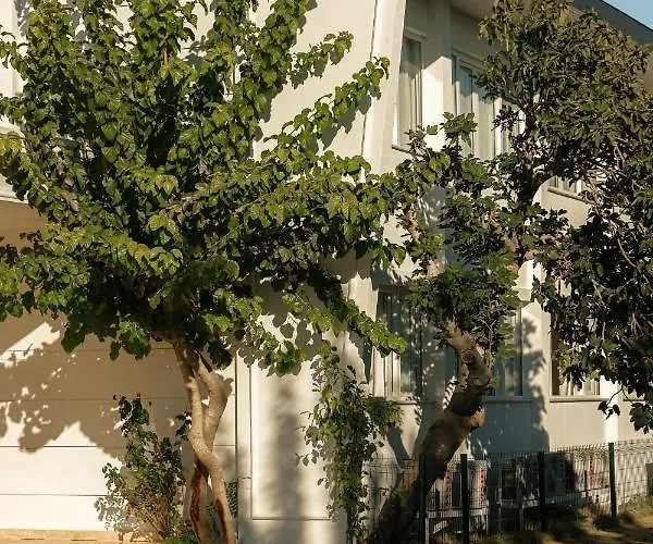 Raw Hotell Antalya