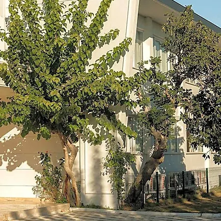 Raw Otel Antalya
